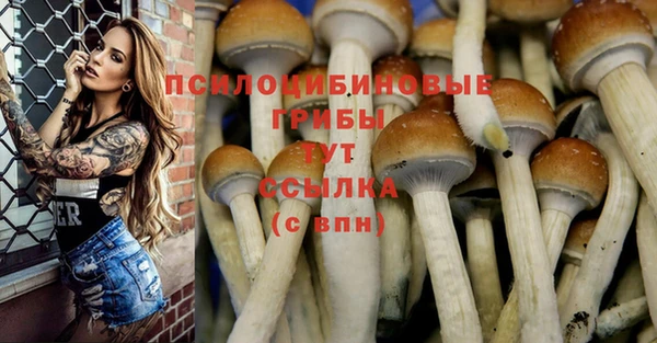 трава Армянск