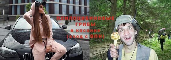 СК Арсеньев